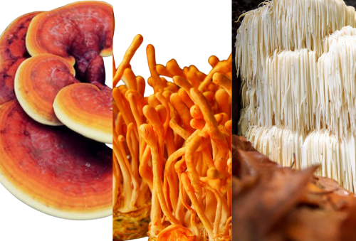 Triple Mushroom Complex